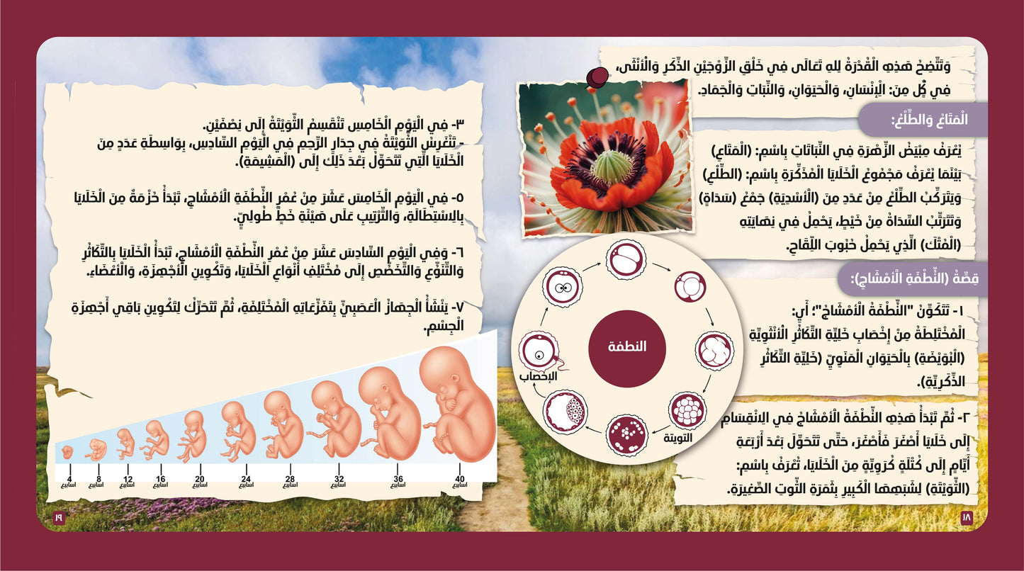 سلسلة الإعجاز العلمي في القرآن الكريم